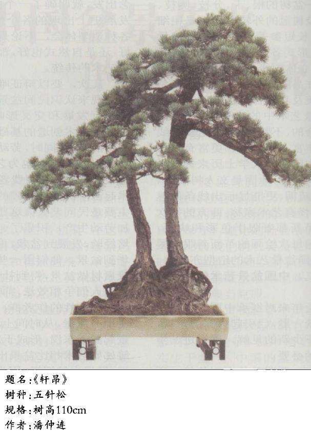 哪些是中国盆景艺术的优良传统呢