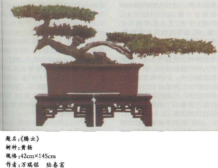 中国盆景艺术的优良传统是什么