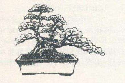 邓盛凤怎么设计临水式赤楠盆景的3个方法