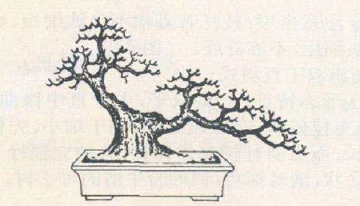 邓盛凤怎么设计临水式赤楠盆景的3个方法