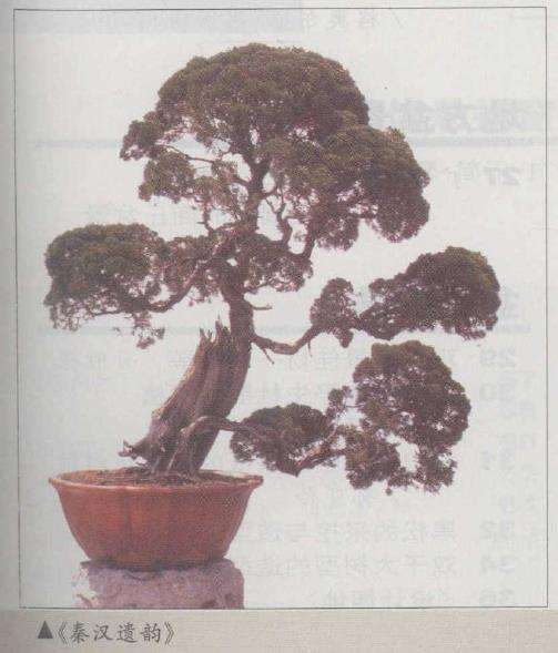 苏州园林是盆景艺术的天地