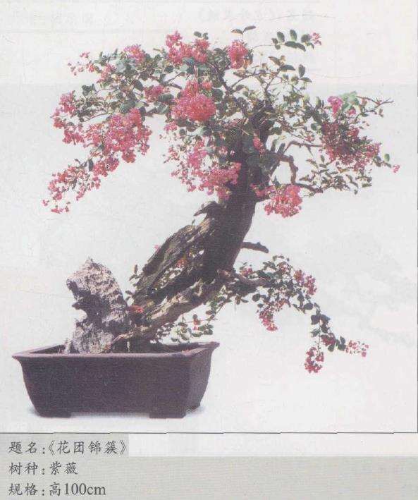 苏州园林是盆景艺术的天地