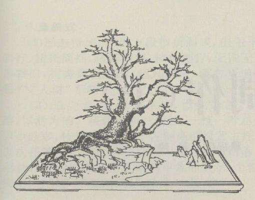 图解 边宁怎么设计双杆盆景的方法