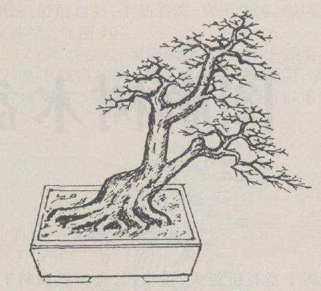 图解 陈培琦合怎么设计双杆盆景的5个步骤