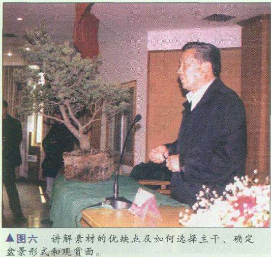 图解 胡乐国怎么制作五针松盆景造型的15个步骤