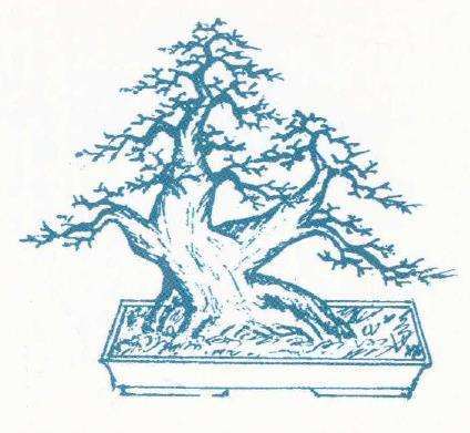 图解 陈培琦怎么设计双干盆景的2个步骤