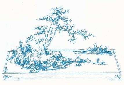 图解 曾宪烨怎么设计双干盆景的方法