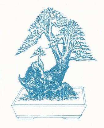 图解 边宁怎么设计多干盆景的2个方法