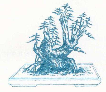 图解 边宁怎么设计多干盆景的2个方法