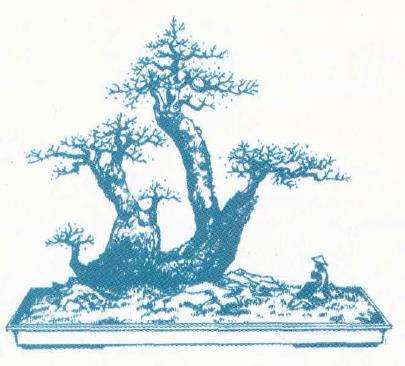 图解 祁存富怎么设计双干盆景的步骤