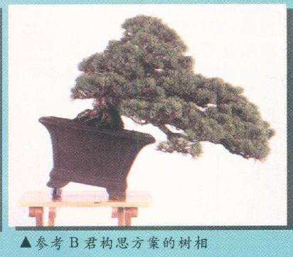 图解 实技中怎么感悟盆景改作的技巧 中
