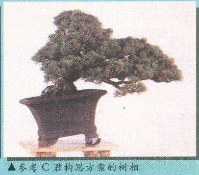 图解 实技中怎么感悟盆景改作的技巧 中