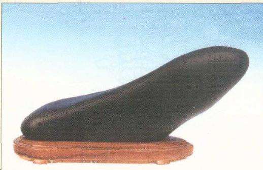 韩国一位赏石名家在某地考察奇石时