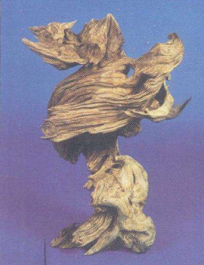 根雕作品《雄风》创作小记