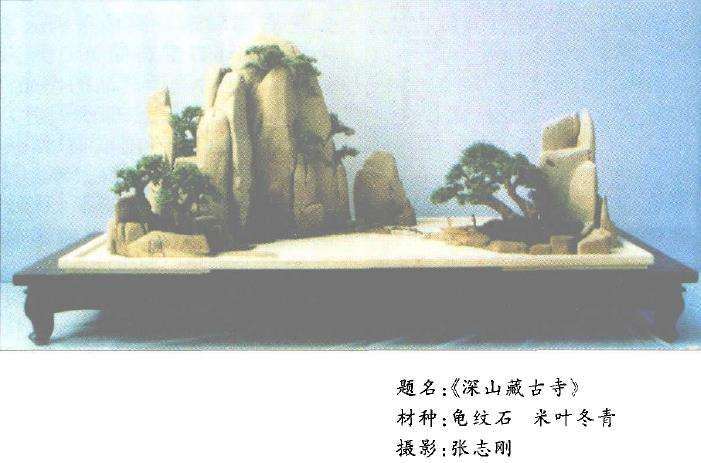 分析2个山水盆景怎么创作的过程 图片