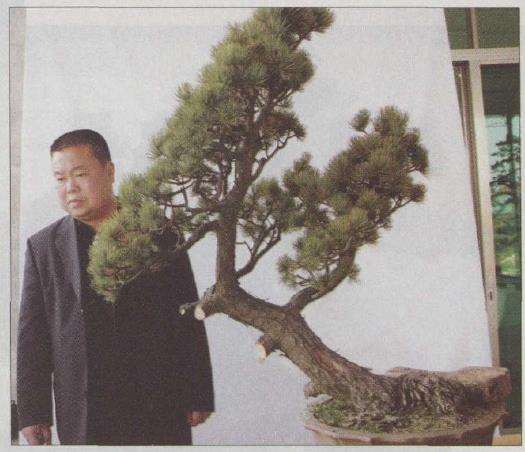 图解 胡乐国怎么改作五针松盆景的21个步骤