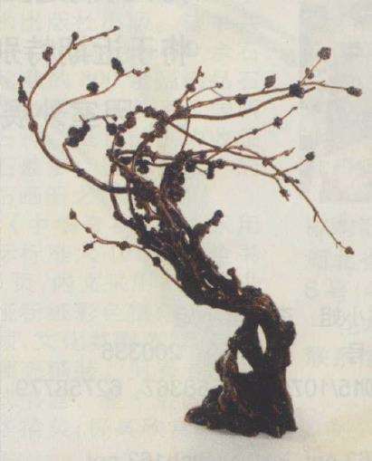北京根雕优秀作品展