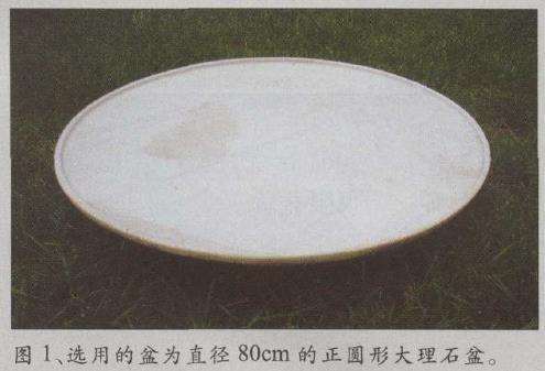 图解 水旱五针松盆景怎么创作的30个过程