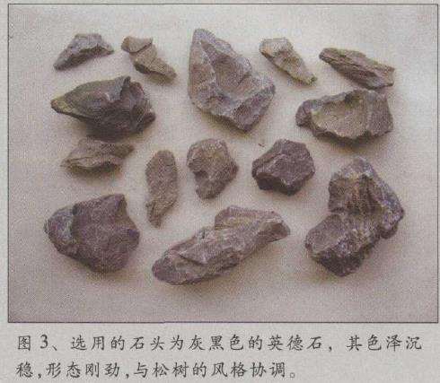 图解 水旱五针松盆景怎么创作的30个过程