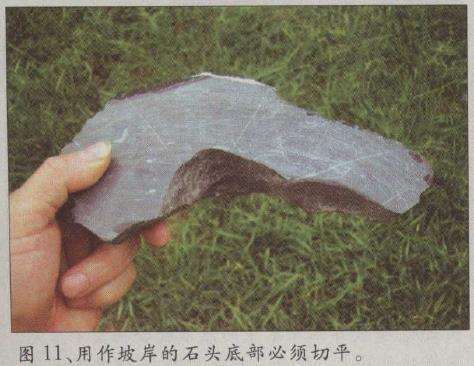 图解 水旱五针松盆景怎么创作的30个过程