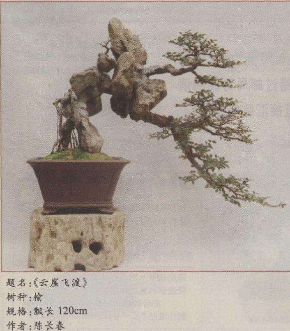 浅释怎么制作天然树石盆景的3个方法