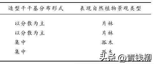 图解 一本丛林型盆景及与相关类型盆景的3个界定