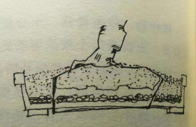 图解 树桩盆景怎么翻盆换土的时间和方法