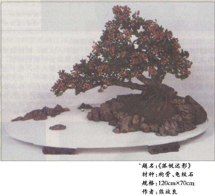 树石盆景《孤帆远影》怎么制作的过程