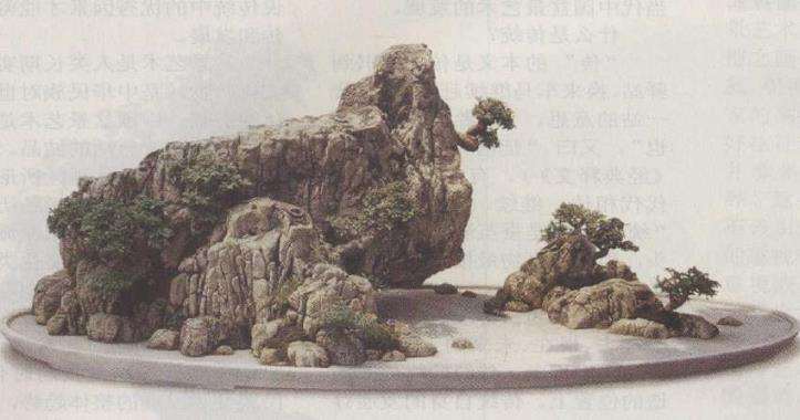 我对中国传统盆景的5个思考