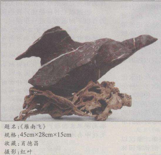 贵州安顺奇石的特点有5点3