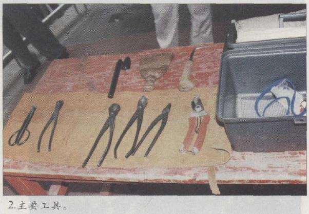 图解 赵庆泉怎么制作水旱盆景的22个步骤