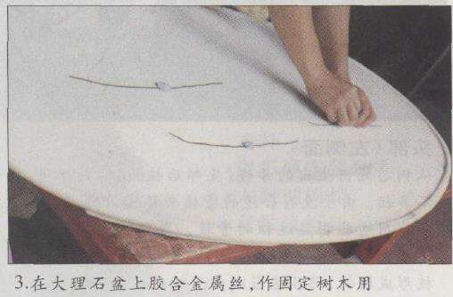 图解 赵庆泉怎么制作水旱盆景的22个步骤