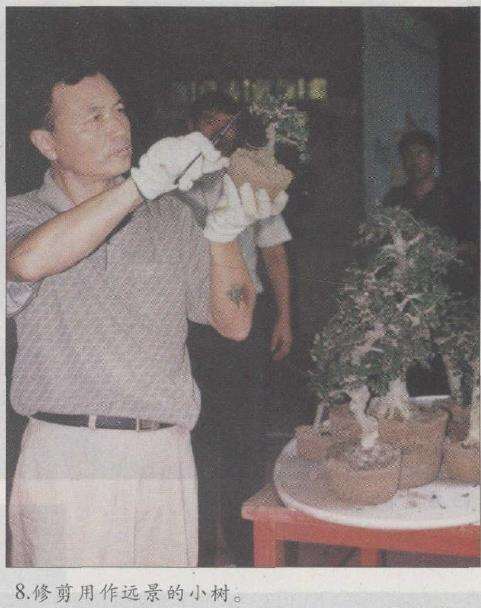 图解 赵庆泉怎么制作水旱盆景的22个步骤