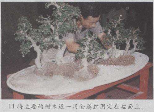 图解 赵庆泉怎么制作水旱盆景的22个步骤