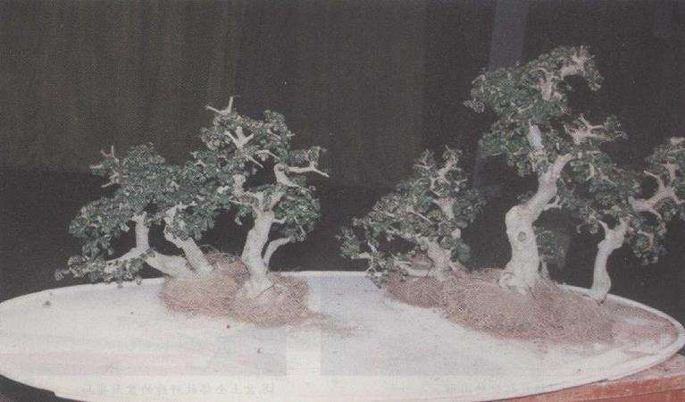 图解 赵庆泉怎么制作水旱盆景的22个步骤