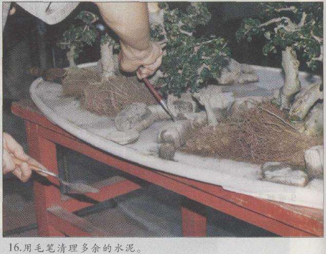 图解 赵庆泉怎么制作水旱盆景的22个步骤