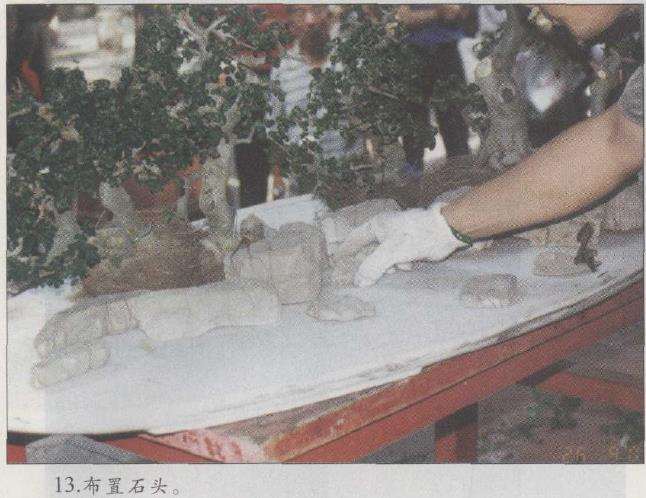 图解 赵庆泉怎么制作水旱盆景的22个步骤