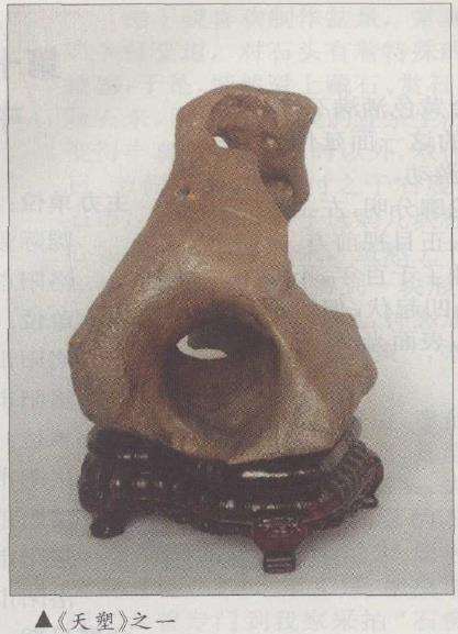 沈连清先生藏石《天塑》赏析