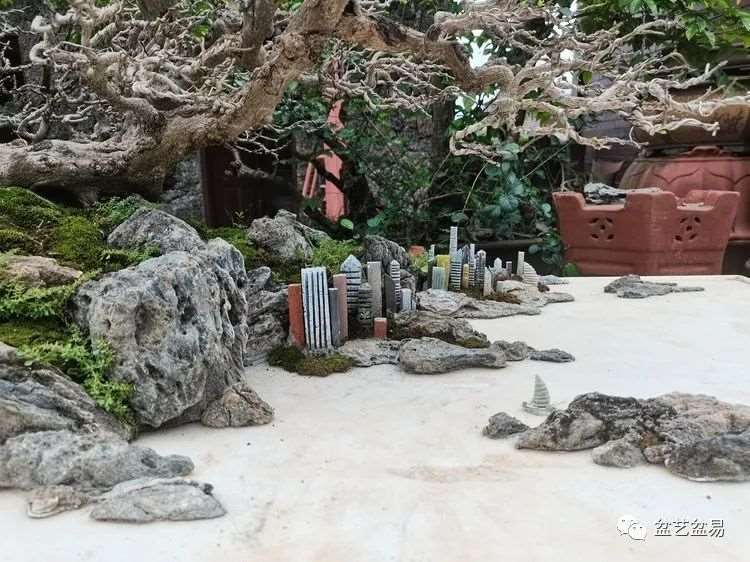 图解 怎么制作博兰水旱盆景的15个步骤