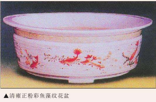 中国古盆艺术鉴赏-雍正篇 (上)