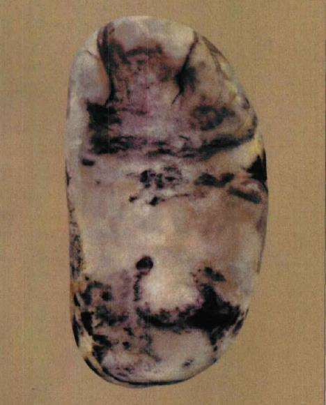 实际赏石中我们要做