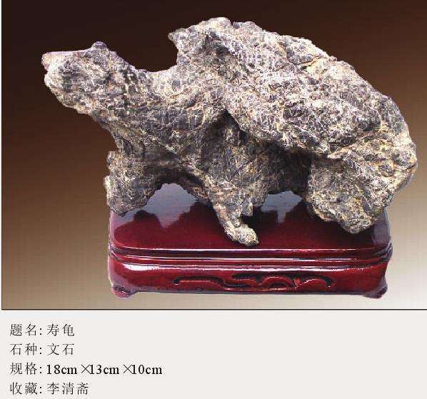 为什么形质色纹是奇石的鉴赏标准