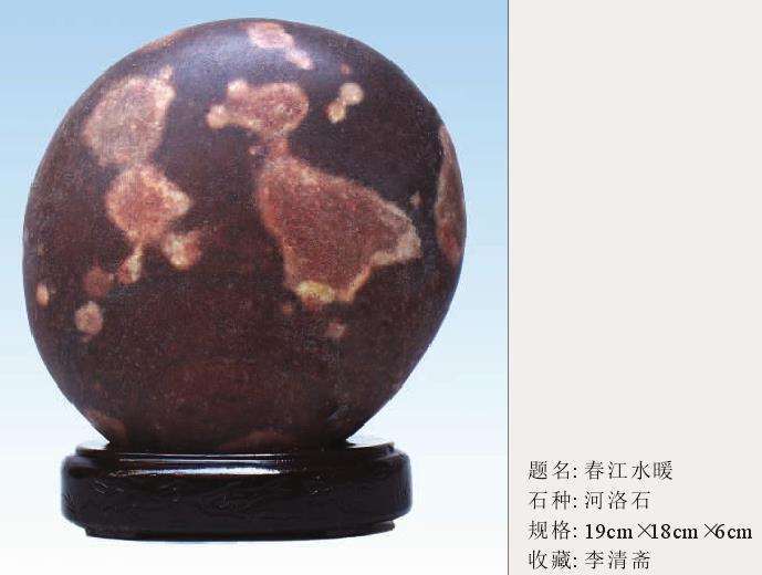 形质色纹赏石理论 为何未能及时普及