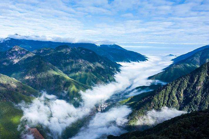 中国国家公园自然教育的3个定义和性质