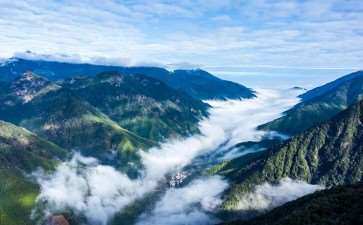 中国国家公园自然教育的3个定义和性质