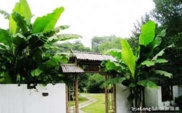 杭州植物物种组成与3个多样性特征