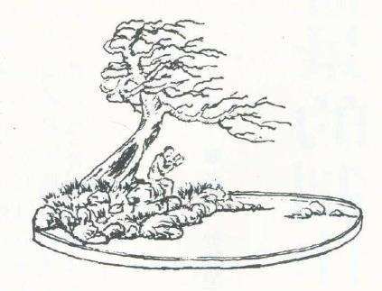 图解 夏著华怎么设计小叶女贞盆景的3个方法