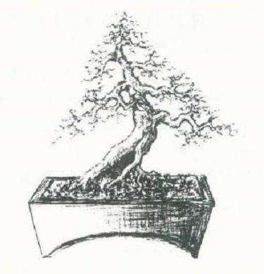 图解 郑建民怎么设计女贞盆景的方法