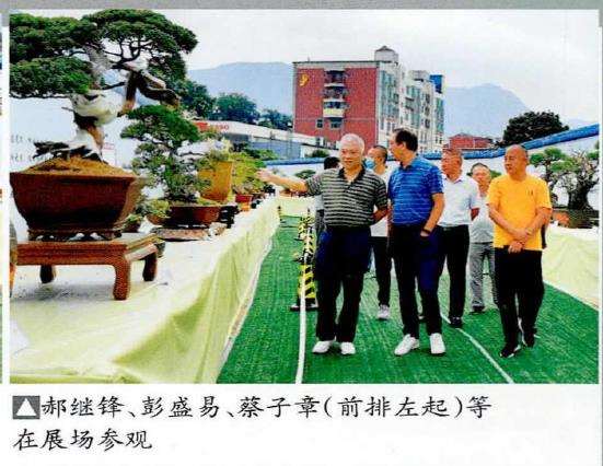 2022年 福建省第三届永春盆景展