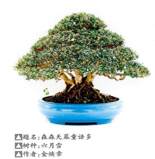 2022年 苏州苏派盆景艺术展